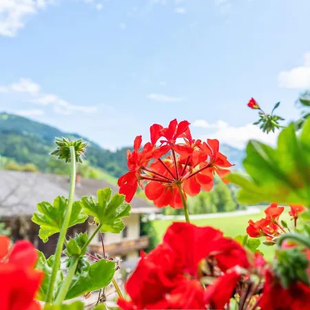 Alte Grafenmuehle Hopfgarten im Brixental