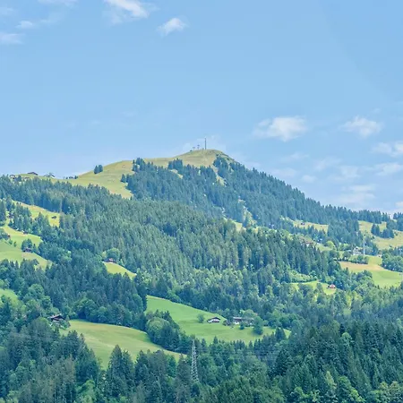 Alte Grafenmuehle Hopfgarten im Brixental