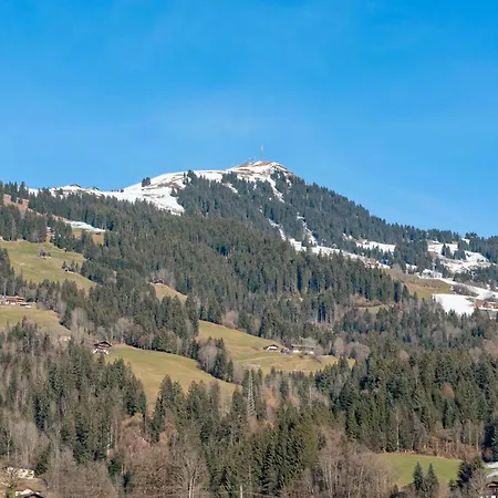 Alte Grafenmuehle Dom wakacyjny Hopfgarten im Brixental
